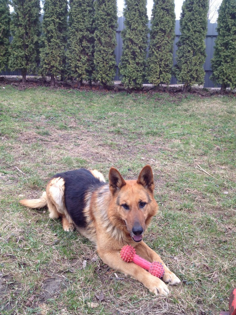 Стас Лопатинский | Иерусалим