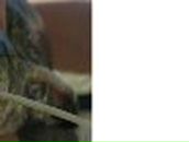 Ильхам Шарафутдинов | 