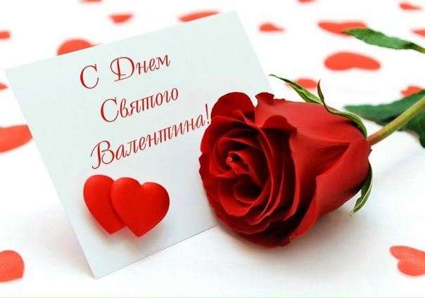 №10, Лилия Данив (Гресь), 41 год, Киев №10, Лилия Данив (Гресь), 41 год, Киев