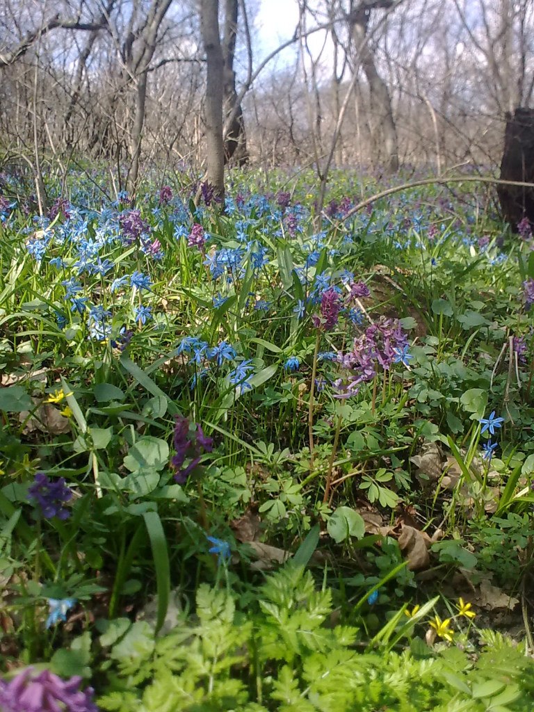 Александр Воеводин | Луганск