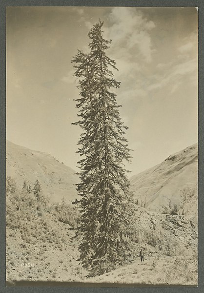 Анна Ярмош | Москва