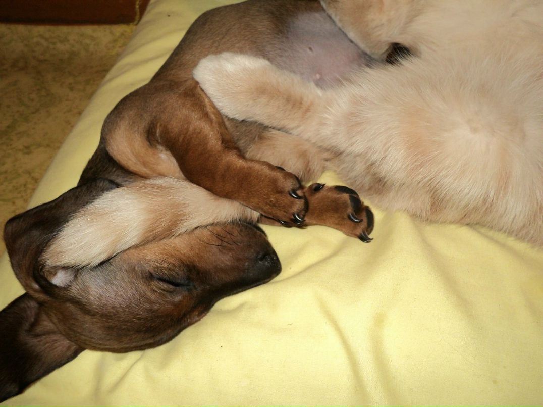 Ирина Ларина | Днепр (Днепропетровск)