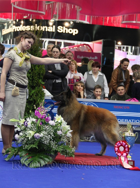 Сашка Солнцева | Москва
