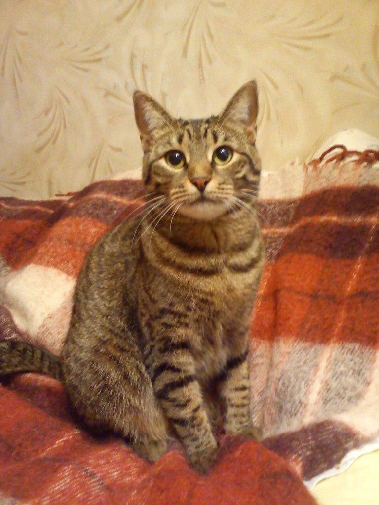 Татьяна Павловская | Санкт-Петербург