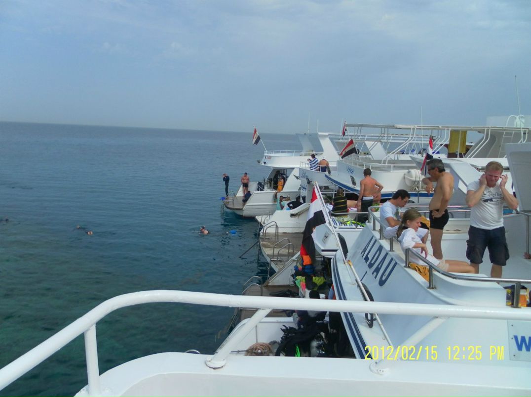 Андрей Бадаев | Санкт-Петербург