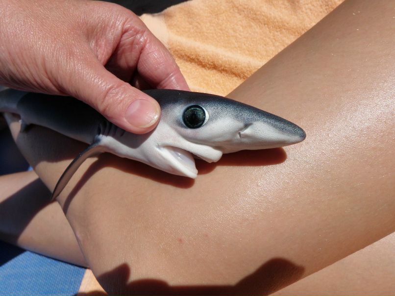 Наталия Большакова-Михайлова | Санкт-Петербург