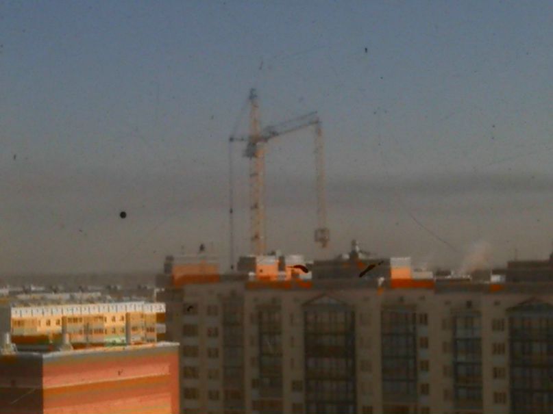 Антон Баландин | Новосибирск