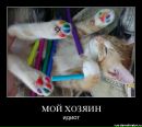 Фотография Алексей Лаптев