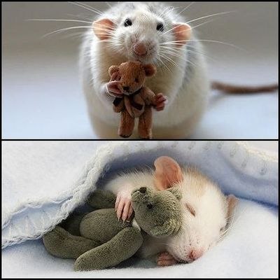 Елизавета Боенко | Philadelphia