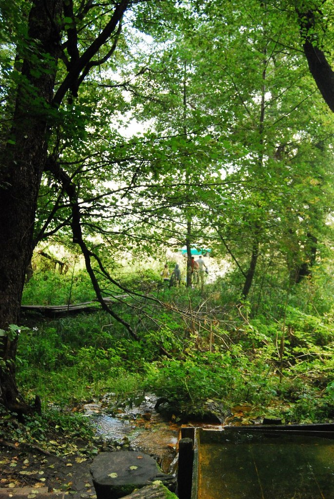 Варвара Колесник Demoni | Ростов-на-Дону