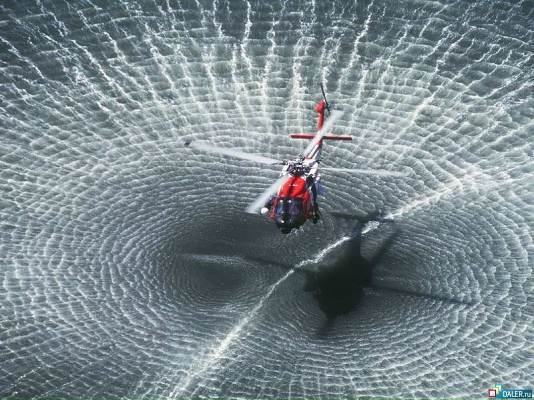 Андрей Бадаев | Санкт-Петербург