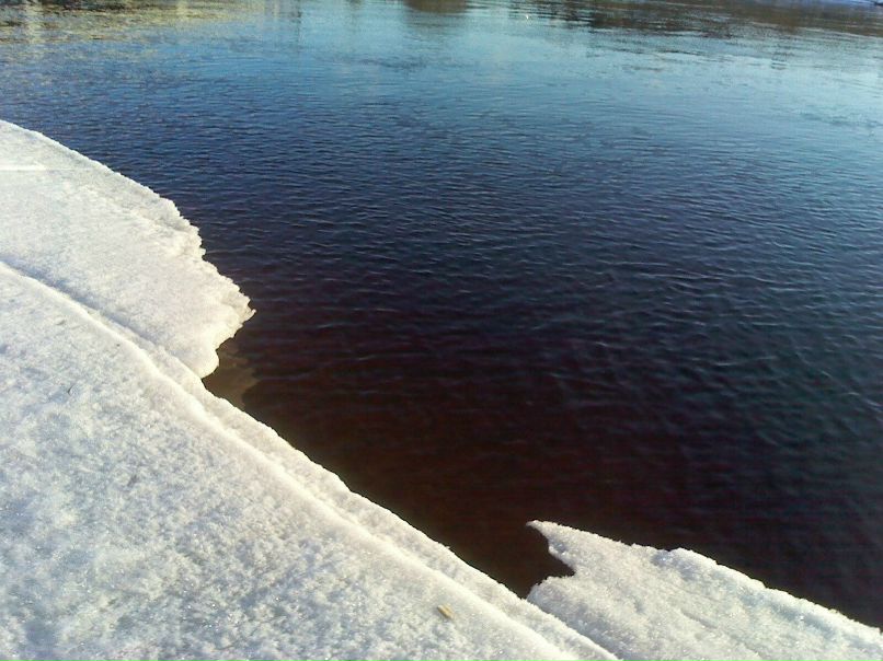 Виктория Дмитриева | Санкт-Петербург