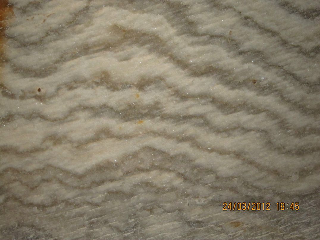 Юлия Мельник | Харьков