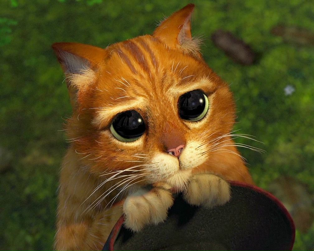 Денис Лагуткин | Москва