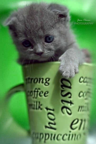 Андрей Королишин | Leganés