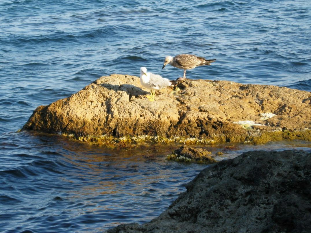 Жека Волк | Харьков