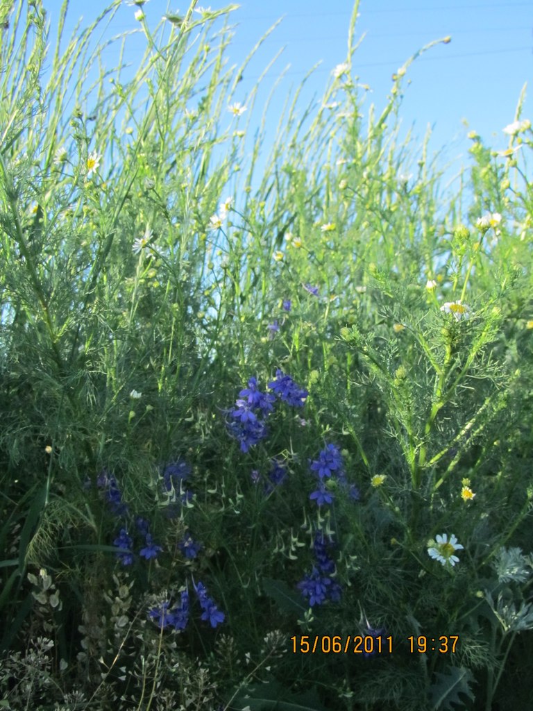 Наташа Одегова-Грудолова | Москва