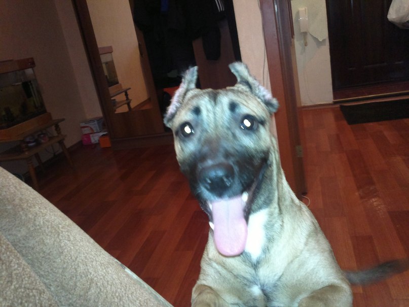 Александр Комаров | Новосибирск