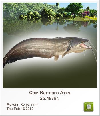 Николай Христенко | Харьков