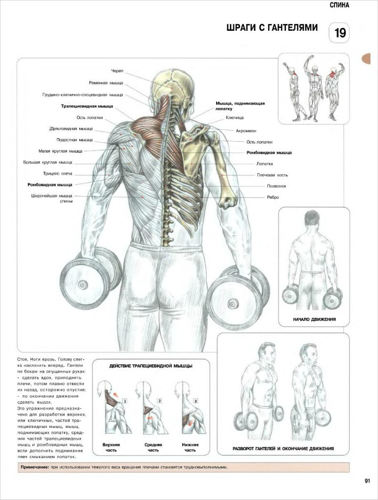 Николай Яковенко | Новогуйвинское
