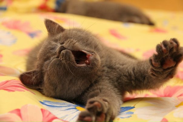 №169, Таня Калугина, Нижневартовск №169, Таня Калугина, Нижневартовск