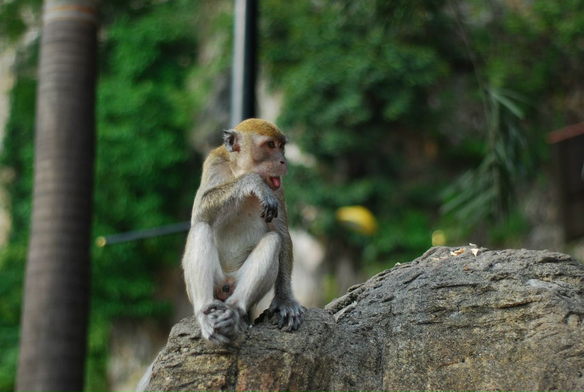 Александра Гладких | Владивосток