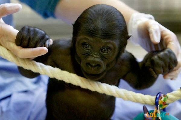 Мария Радецкая | Киев