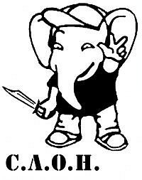 Кирилл Михайлов | Колпино