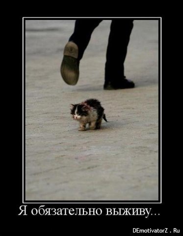 №161, Ирина Мирошник, Ростов-на-Дону №161, Ирина Мирошник, Ростов-на-Дону