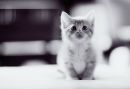 №19 Марина Вязьминова 01.06: профиль, фото, статус - ВКонтакте №19 Марина Вязьминова 01.06: профиль, фото, статус - ВКонтакте