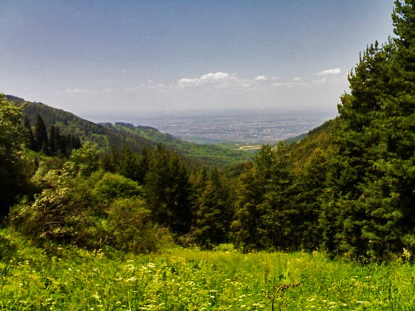 Сергей Бикмухамбетов | Алматы