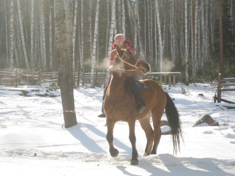 Полина Тетервова | Новосибирск