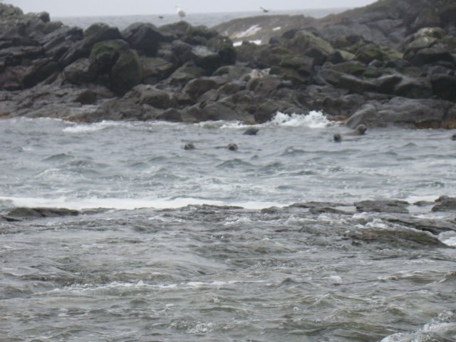 Анна Батаева | Санкт-Петербург