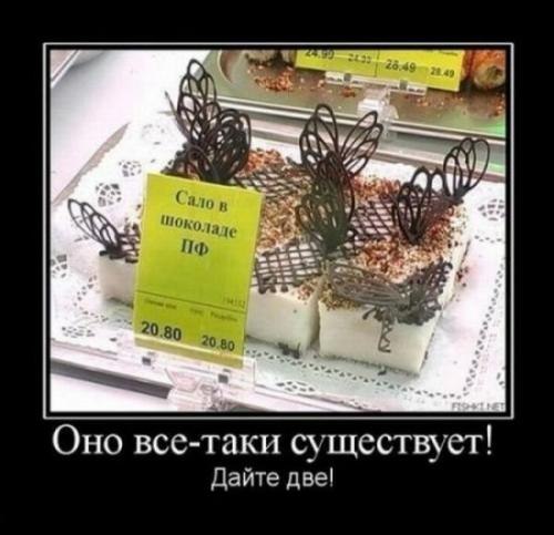№115, Ольга Ляпина, Вологда №115, Ольга Ляпина, Вологда