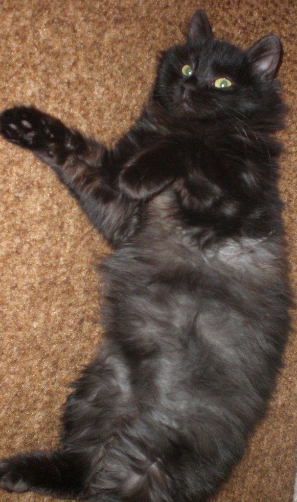 Игорь Прушковский | Белгород