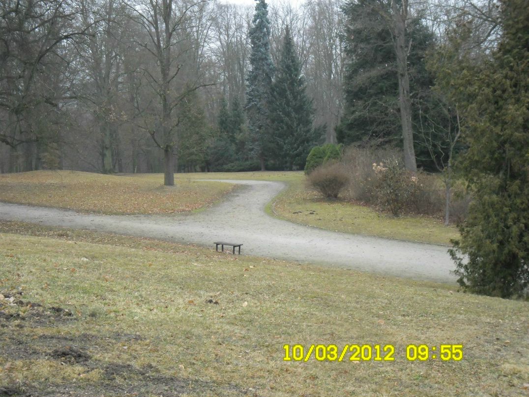 Марина Шулаякова | 