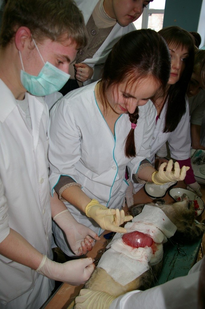 Алексей Шушпанов | Казань