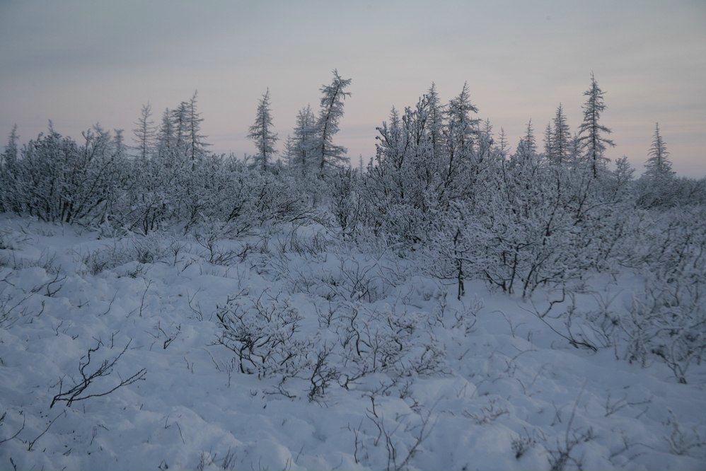 Александр Егоров | Красногорск