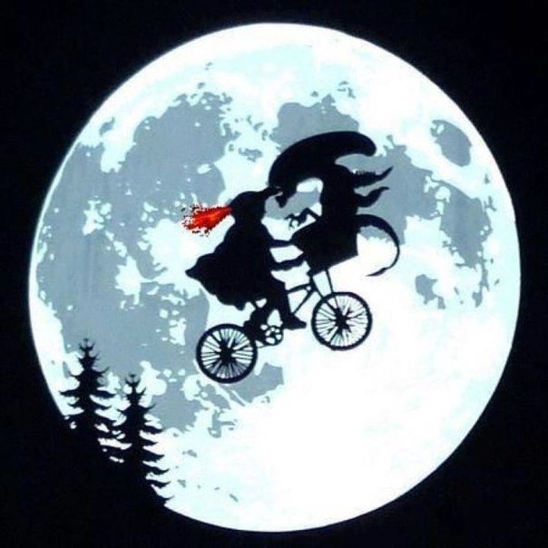 Александра Фесенко | Одесса