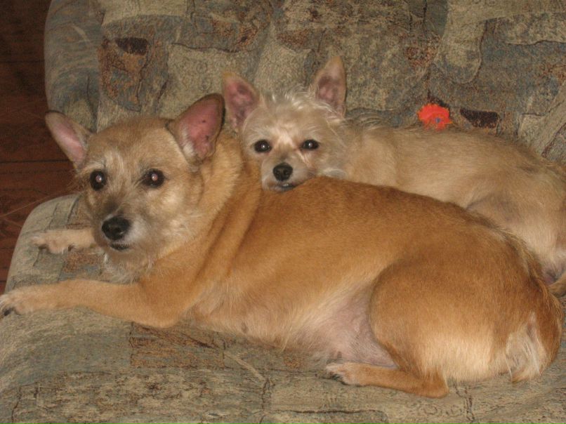 Алёна Курчина | Санкт-Петербург