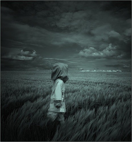 Вадим Струков | Великие Луки