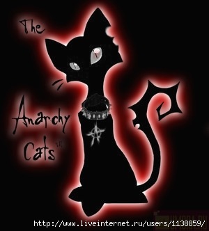 №42, Юлия Черепанова, 35 лет, Новороссийск №42, Юлия Черепанова, 35 лет, Новороссийск