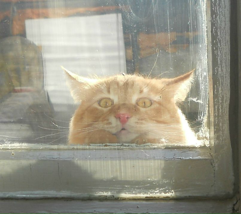 Алексей Пестов | Краснокамск