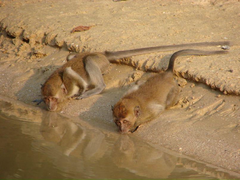 Сильвия Ларий | Москва