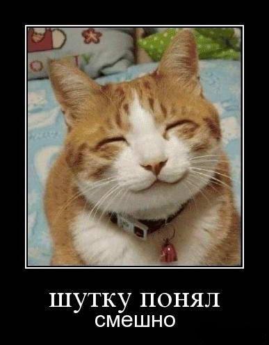 Юрий Степанов | Тольятти