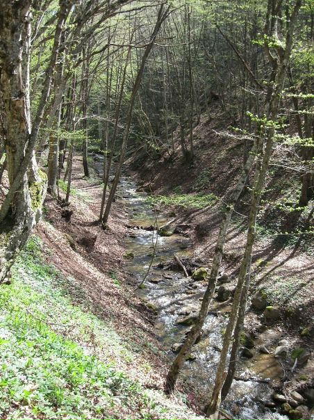 №9, Сергей Тарасов, 38 лет №9, Сергей Тарасов, 38 лет