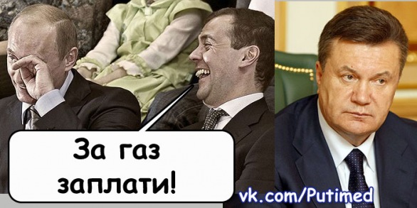 №8, Джамал Бостанов, 32 года, Черкесск, Россия №8, Джамал Бостанов, 32 года, Черкесск, Россия