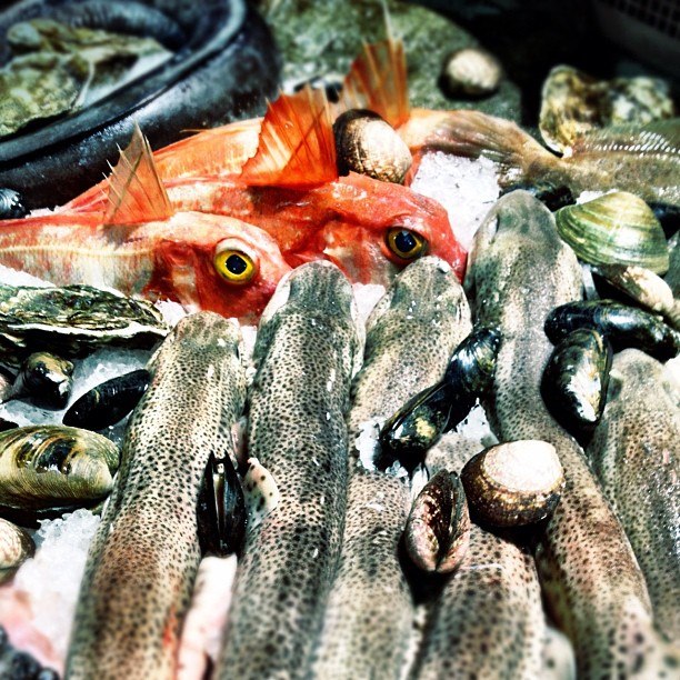 Павел Мартюков infinitum | Москва