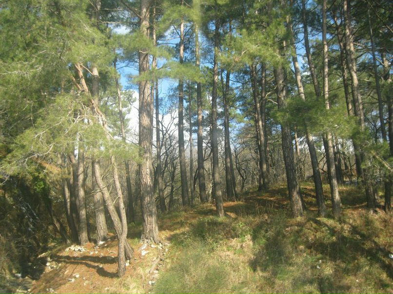 Сергей Авдеев | Челябинск