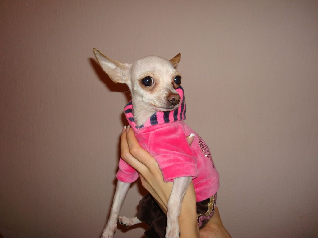 Маша Кондина | Roma